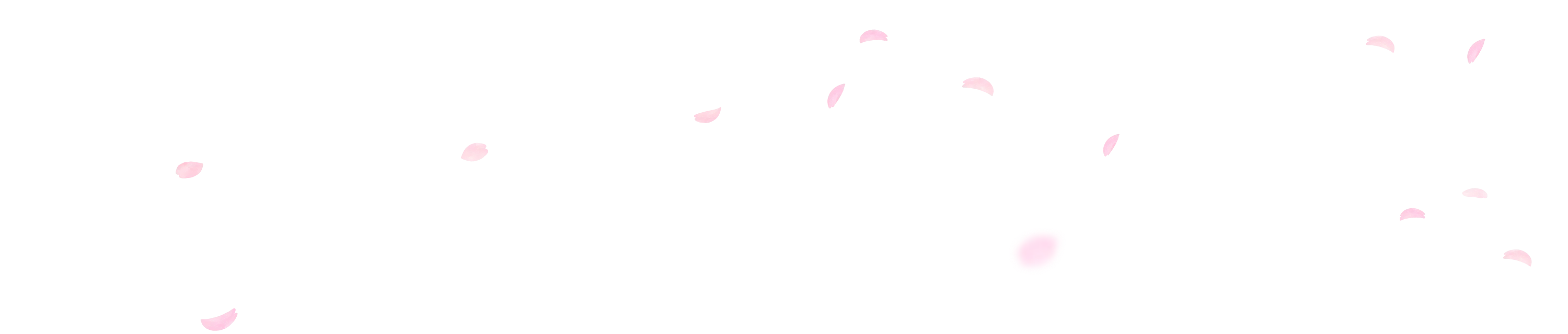 桜の花びらの背景画像2