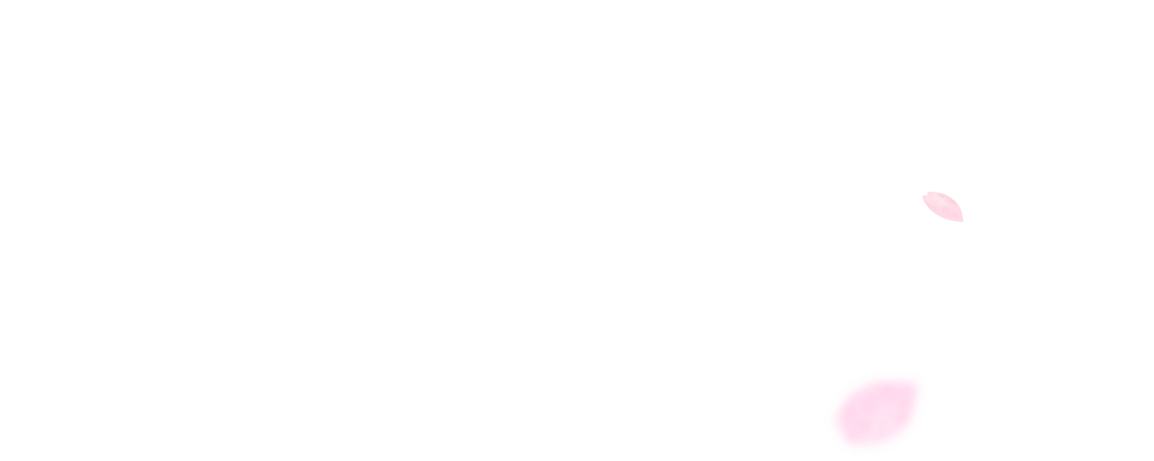 桜の花びらの背景画像 右01