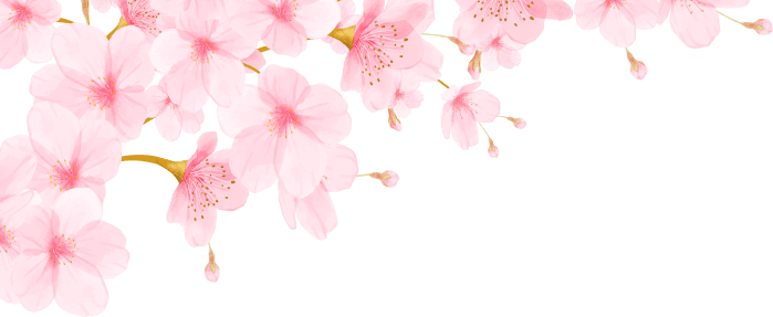桜 背景