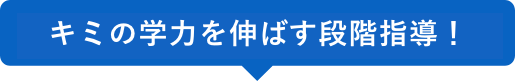 キミの学力を伸ばす段階指導！