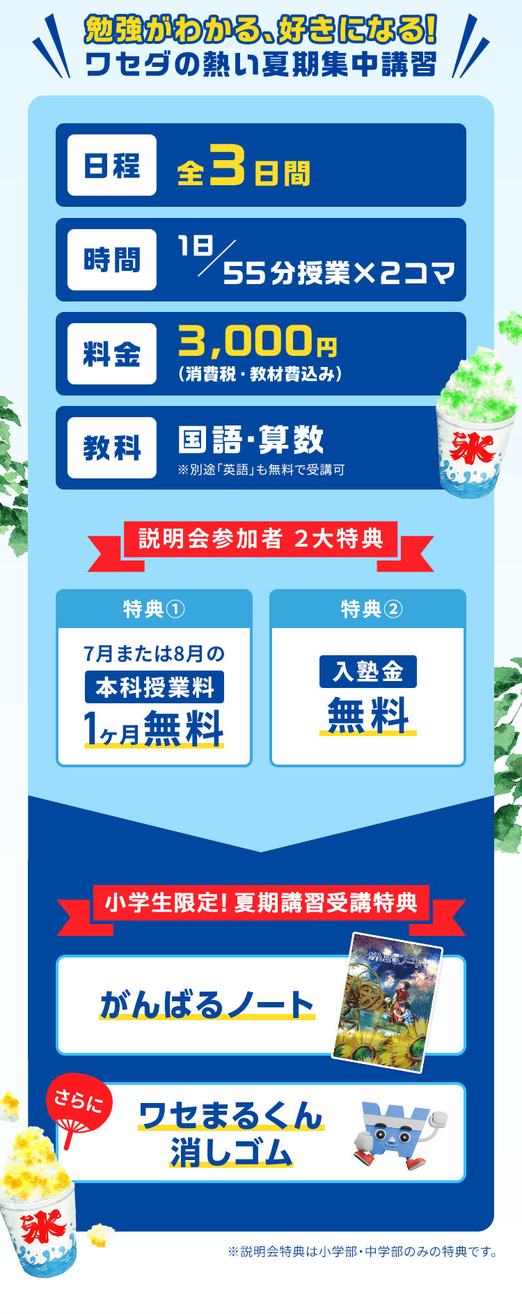 小学生
